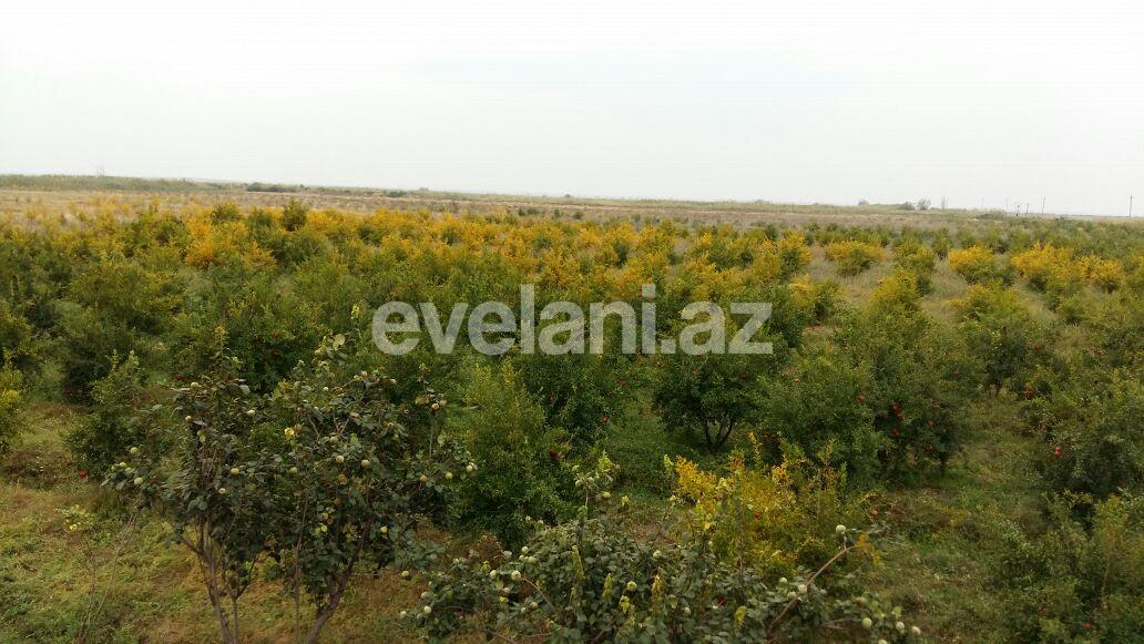 Satılır, torpaq, 86 sot, Bakı, Sabunçu r, Zabrat q.