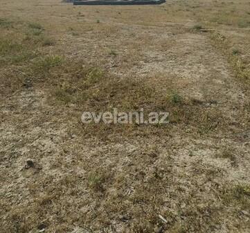 Satılır, torpaq, 2 sot, Şirvan