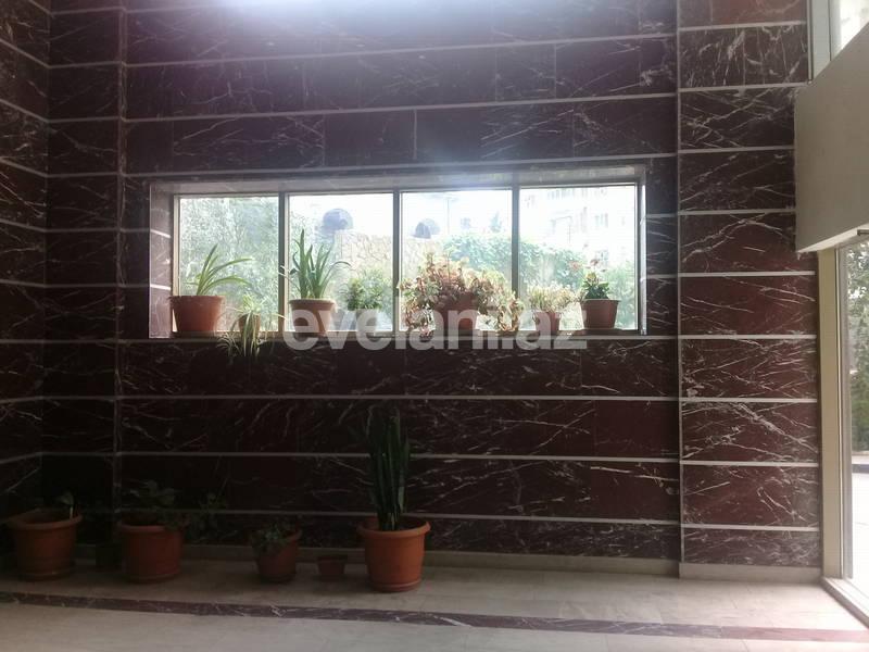 Kirayə verilir, yeni tikili, 5 otaqlı, 242 m², Bakı, Yasamal r.