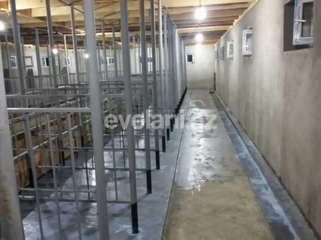 Satılır, obyekt, 160 m², Şamaxı