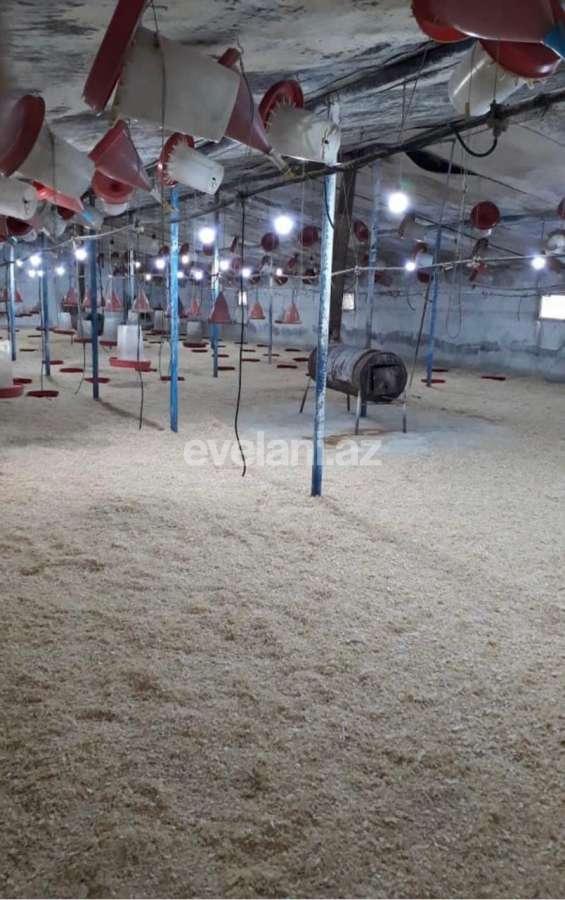 Satılır, obyekt, 1000 m², Bakı, Sabunçu r, Məmmədli q.