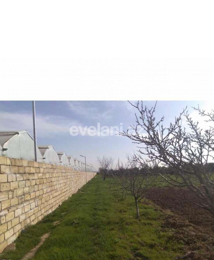 Satılır, obyekt, 1000 m², Bakı, Sabunçu r, Məmmədli q.