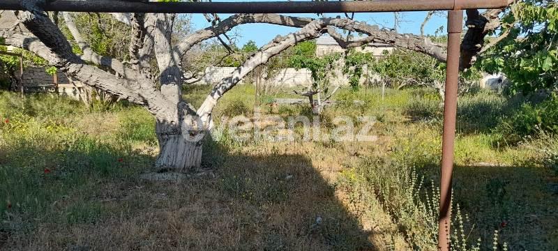 Sale, land, 11 ar, Baku, Khazar r.