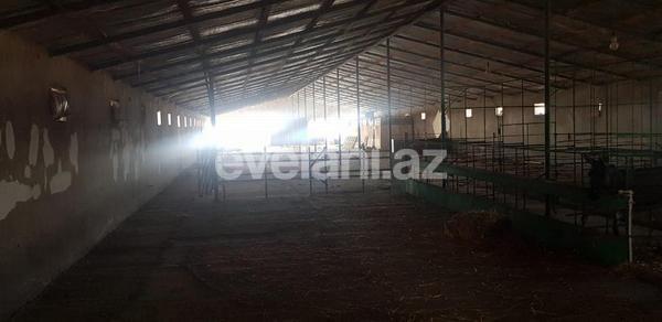 Kirayə verilir, obyekt, 1200 m², Bakı, Sabunçu r, Məmmədli q.