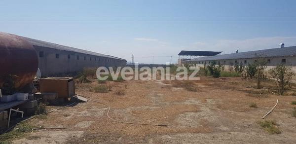 Kirayə verilir, obyekt, 1200 m², Bakı, Sabunçu r, Məmmədli q.