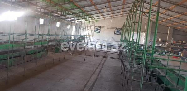 Kirayə verilir, obyekt, 1200 m², Bakı, Sabunçu r, Məmmədli q.