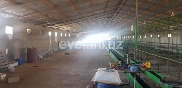 Kirayə verilir, obyekt, 1200 m², Bakı, Sabunçu r, Məmmədli q.