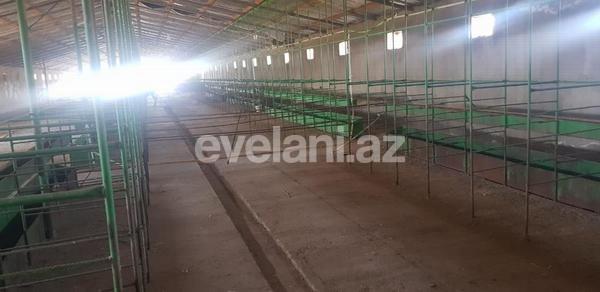 Kirayə verilir, obyekt, 1200 m², Bakı, Sabunçu r, Məmmədli q.