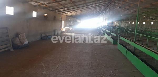 Kirayə verilir, obyekt, 1200 m², Bakı, Sabunçu r, Məmmədli q.