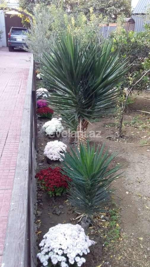 Sale, new building, 9 room, 600 m², Baku, Khazar r, Shuvalan d.