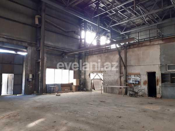 Rent, object, 600 m², Baku, Narimanov r.