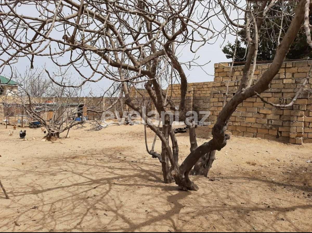 Sale, land, 6.7 ar, Baku, Absheron r, Novkhani d.