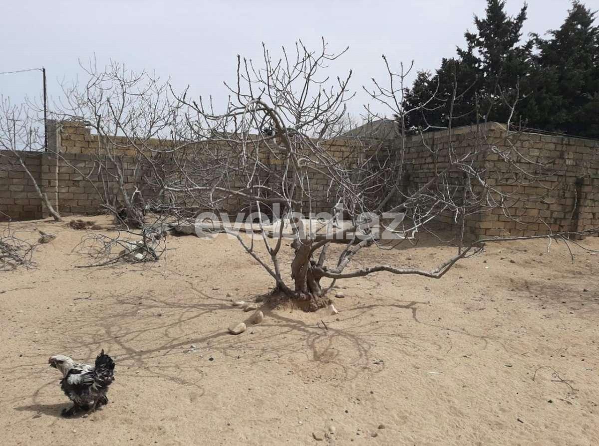 Sale, land, 6.7 ar, Baku, Absheron r, Novkhani d.