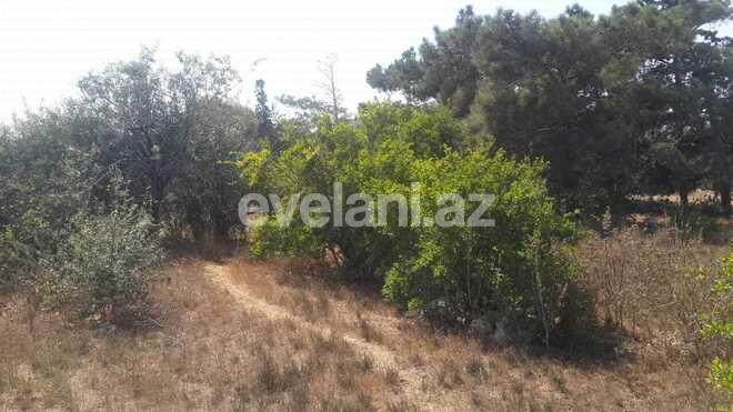 Продаётся, участок, 19 сот, Баку, Хазарский r, Тюркан p.