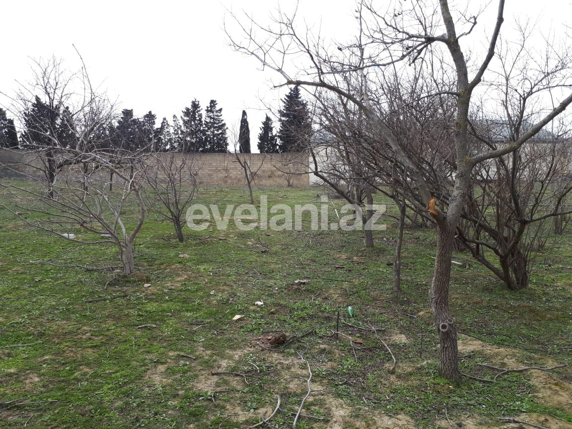 Sale, land, 30 ar, Baku, Khazar r, Turkan d.