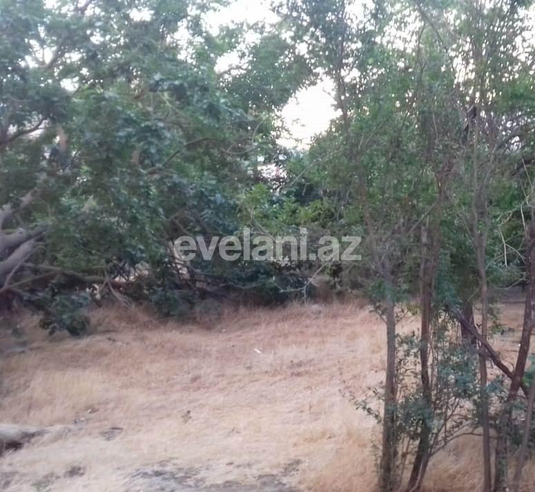 Satılır, torpaq, 3 sot, Bakı, Binəqədi r, 9-cu mikrorayon q, Nəsimi m.