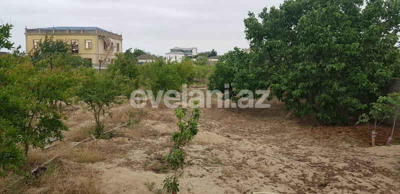 Satılır, torpaq, 24 sot, Bakı, Abşeron r.