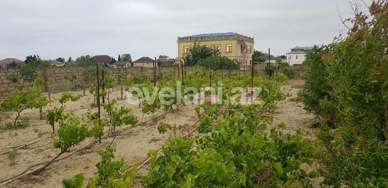 Satılır, torpaq, 24 sot, Bakı, Abşeron r.