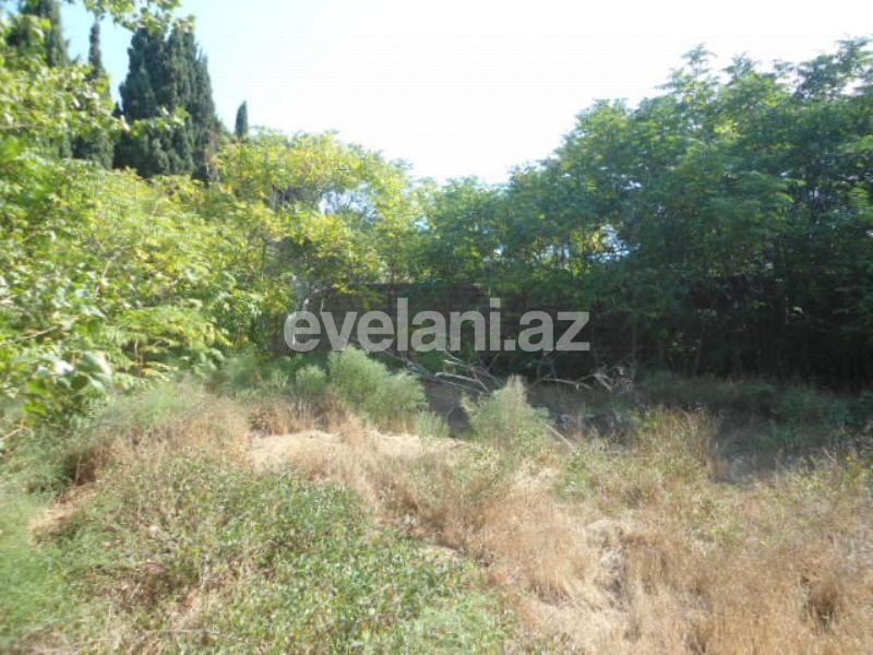 Sale, land, 55 ar, Baku, Sabail r, Badamdar d.