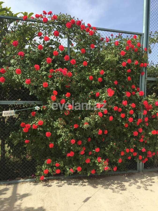 Satılır, həyət evi / bağ, 5 otaqlı, 265 m², Bakı, Abşeron r, Görədil q.