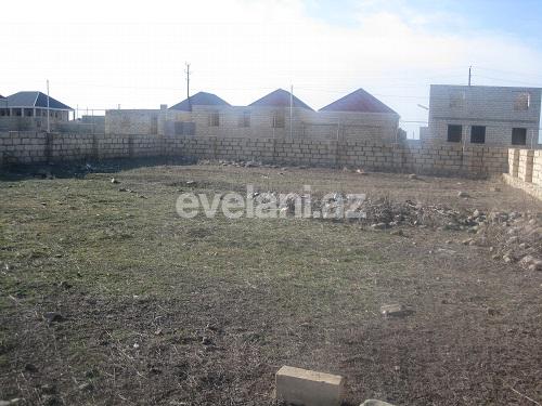 Sale, land, 100 ar, Baku, Absheron r.