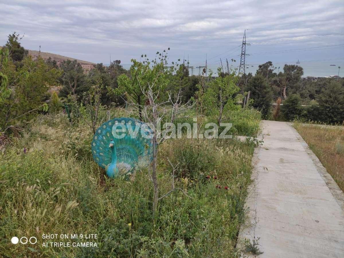 Продаётся, участок, 30 сот, Баку, Сабаильский r, Бадамдар p.