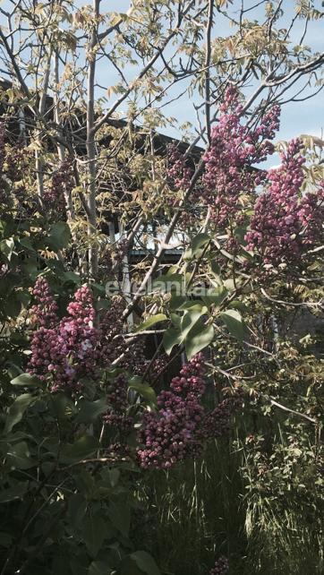 Satılır, həyət evi / bağ, 3 otaqlı, 62 m², Xızı