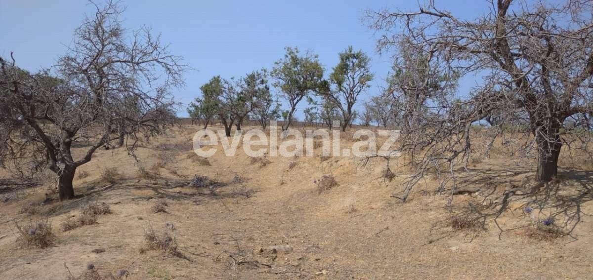 Satılır, torpaq, 17 sot, Bakı, Sabunçu r, Kürdəxanı q, Koroğlu m.