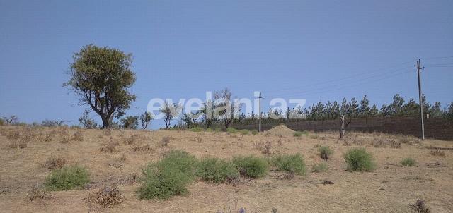 Satılır, torpaq, 17 sot, Bakı, Sabunçu r, Kürdəxanı q, Koroğlu m.