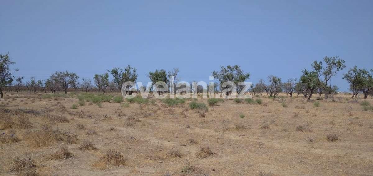 Satılır, torpaq, 17 sot, Bakı, Sabunçu r, Kürdəxanı q, Koroğlu m.