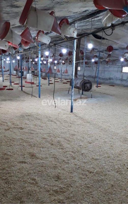 Satılır, obyekt, 6800 m², Bakı, Abşeron r.