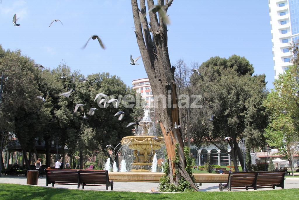 Satılır, obyekt, 230 m², Bakı, Nəsimi r.