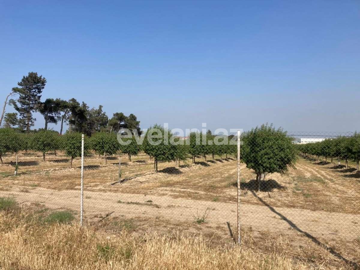 Sale, garden / house, 4 room, 165 m², Baku, Sabunchu r, Yeni Ramana d.