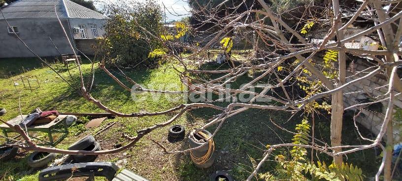 Sale, land, 6 ar, Baku, Khatai r, Ahmedli d, Ahmedli m.