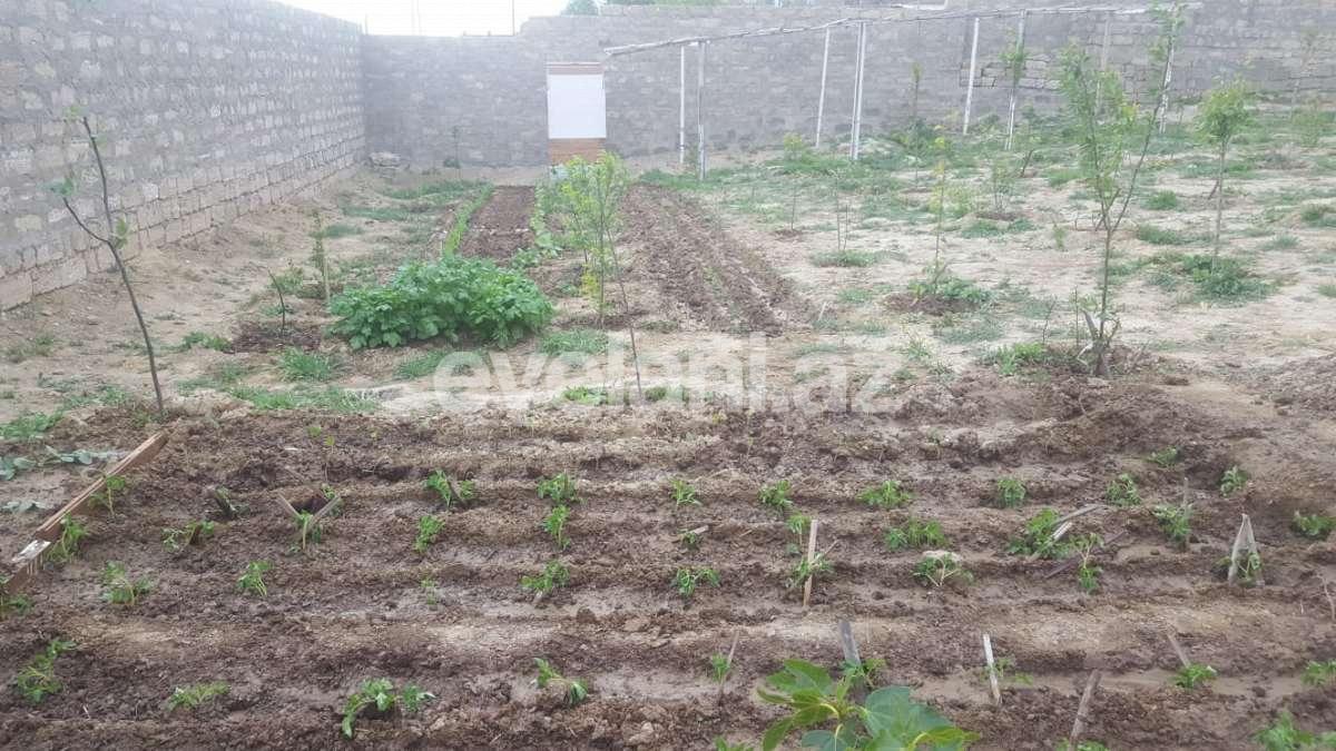 Sale, land, 6 ar, Baku, Khatai r, Ahmedli d, Ahmedli m.