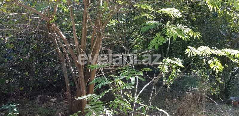 Sale, land, 24 ar, Lankaran