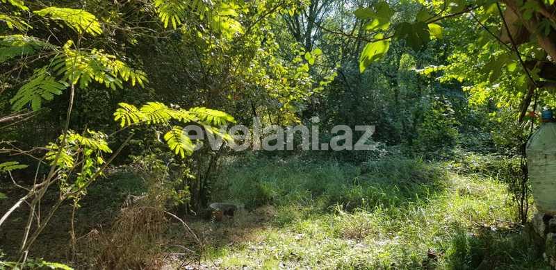 Sale, land, 24 ar, Lankaran