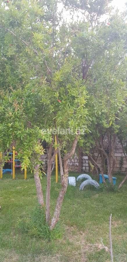 Sale, garden / house, 5 room, 160 m², Baku, Absheron r, Goradil d.