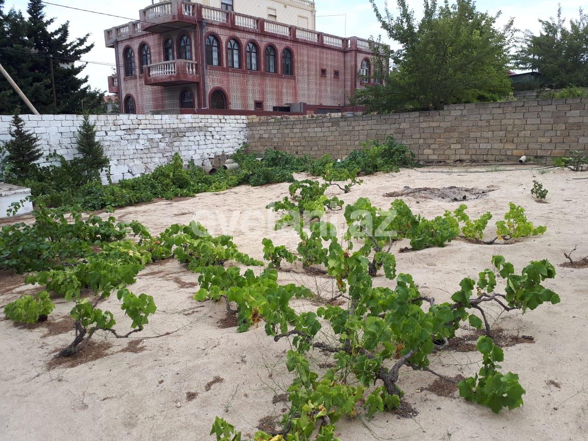 Satılır, torpaq, 21 sot, Bakı, Abşeron r, Görədil q.