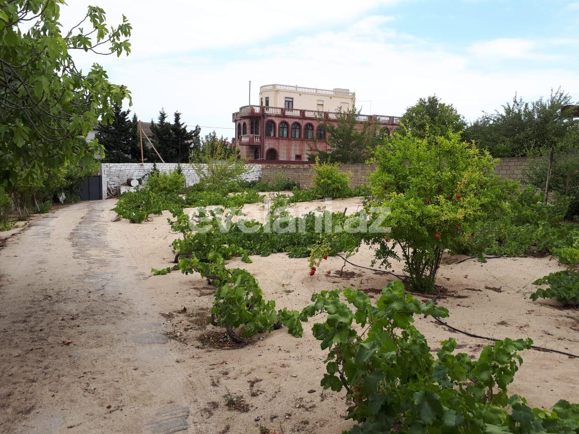 Satılır, torpaq, 21 sot, Bakı, Abşeron r, Görədil q.