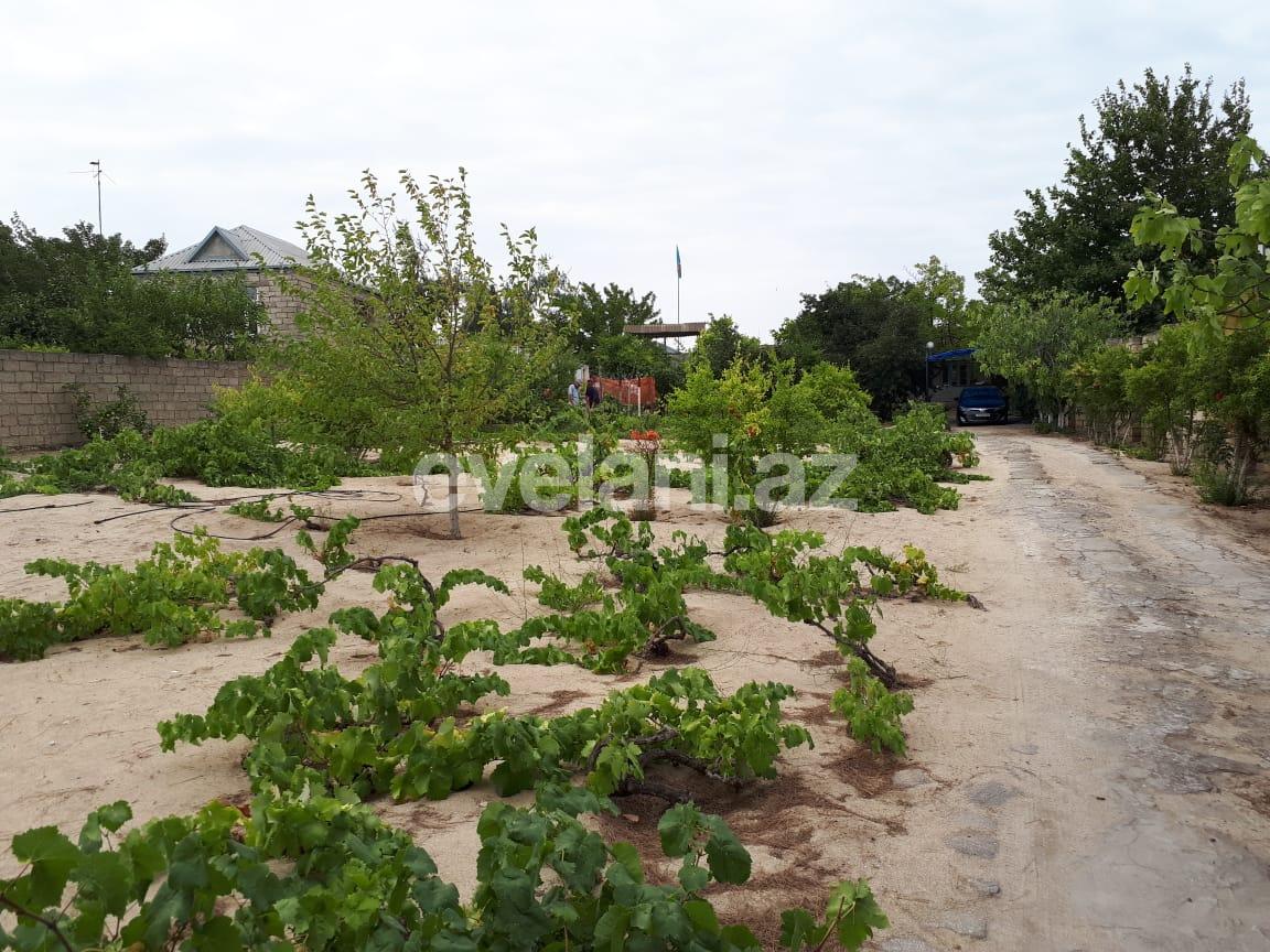 Satılır, torpaq, 21 sot, Bakı, Abşeron r, Görədil q.