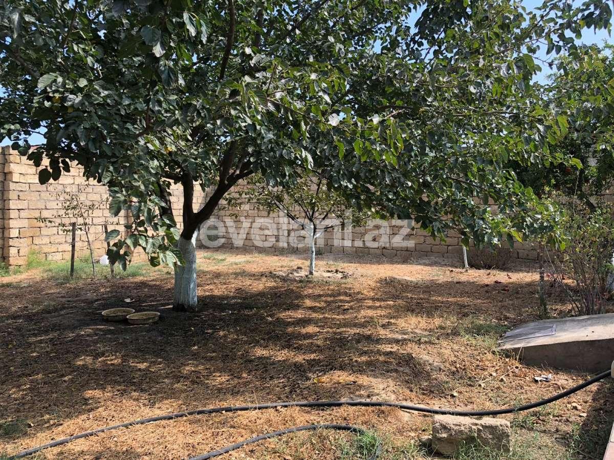 Satılır, həyət evi / bağ, 3 otaqlı, 80 m², Bakı, Abşeron r, Görədil q.