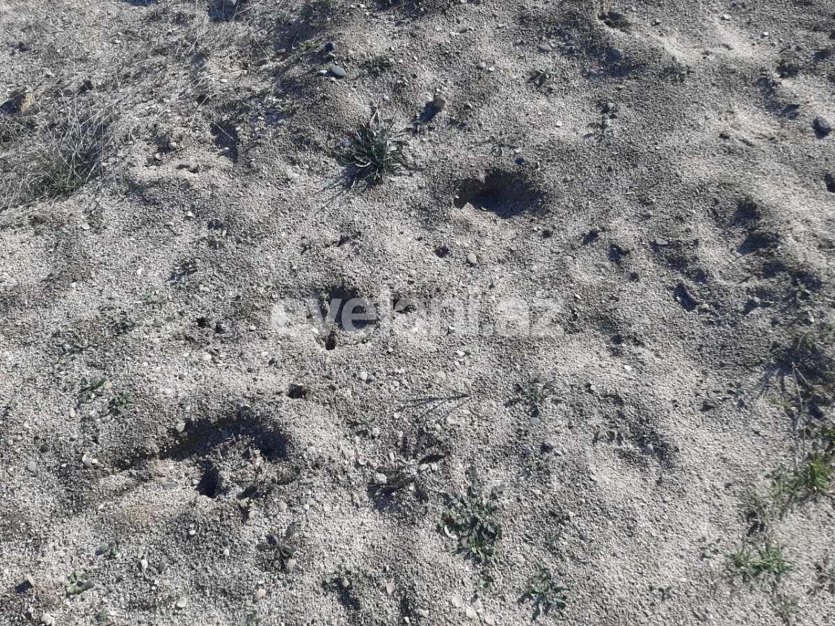 Satılır, torpaq, 76 sot, Bakı, Abşeron r, Görədil q.