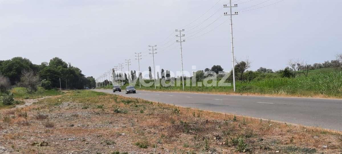 Satılır, torpaq, 1200 sot, Xaçmaz