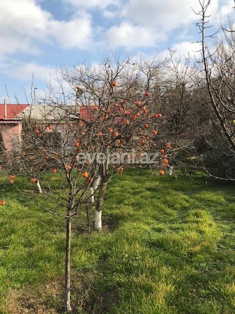 Sale, garden / house, 4 room, 150 m², Baku, Absheron r, Goradil d.