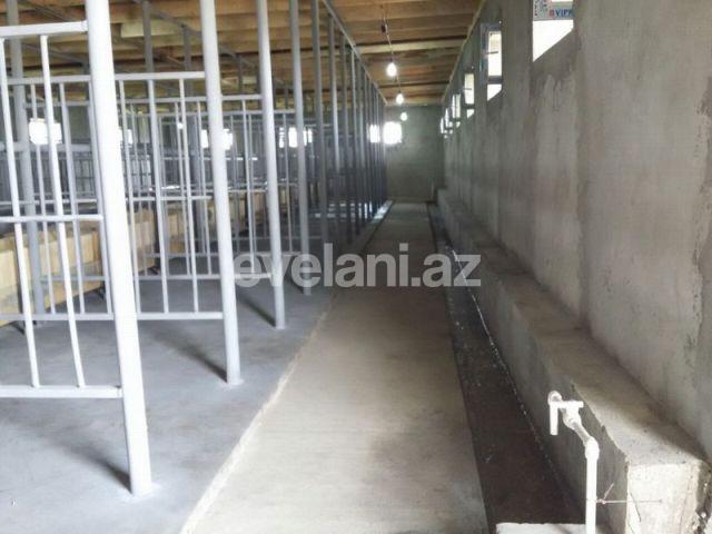 Satılır, obyekt, 160 m², Şamaxı