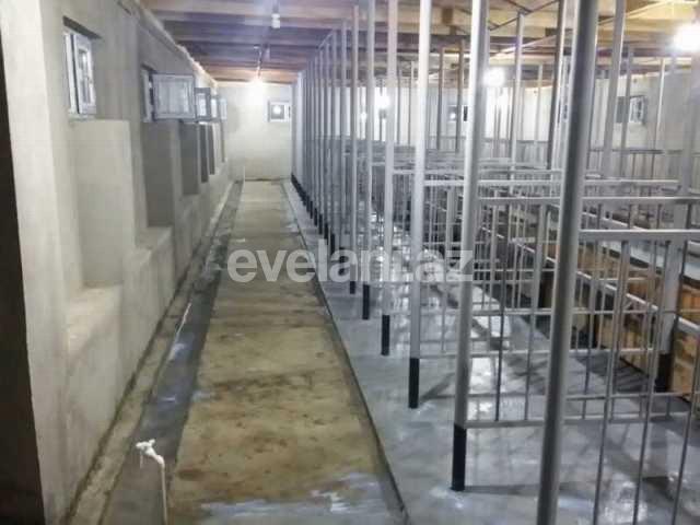 Satılır, obyekt, 160 m², Şamaxı