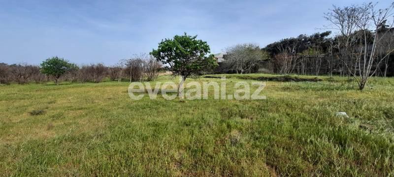 Satılır, torpaq, 210 sot, Bakı, Xəzər r.