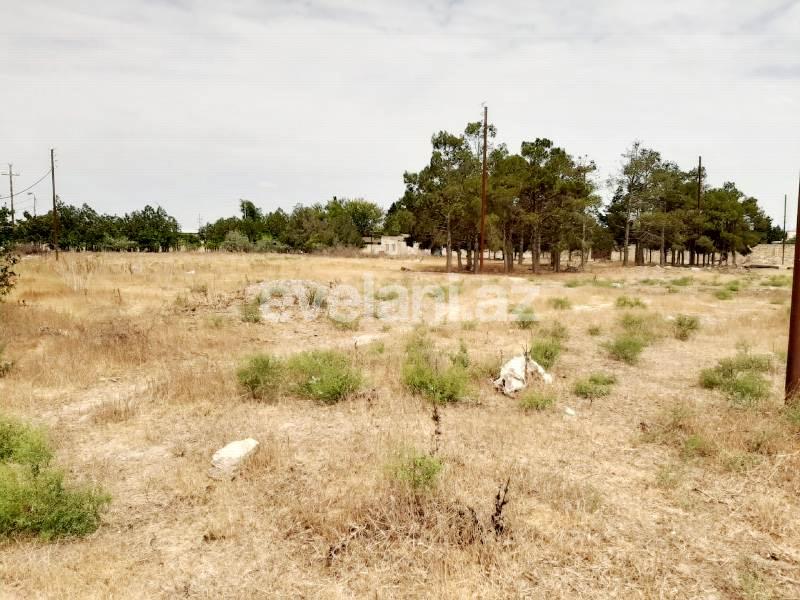 Sale, land, 170 ar, Baku, Khazar r.