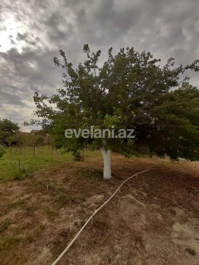 Satılır, torpaq, 12 sot, Bakı, Abşeron r, Görədil q.